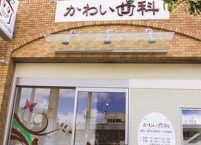 写真2