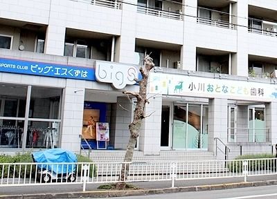 写真2