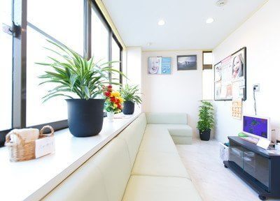 写真2