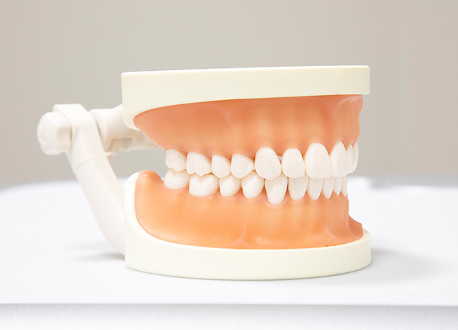 歯周病が悪化する前に受診し、お口の健康を守ることが大切です