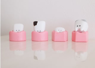 鶴ヶ島のがわ歯科 予防歯科