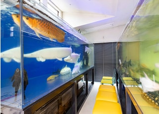 左右に大型の水槽があり、鑑賞されるかたの心を躍らせます。