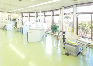 院内はリラックスした空間にできるよう、植物を置いております。