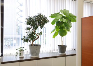 おもと総合歯科医院