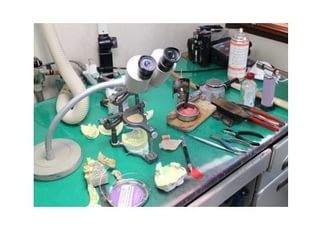 入れ歯などはこのように作製しております。技工所が院内にございます。細部までこだわってお作りしております。