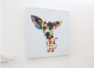 患者さまがリラックスできるよう飾っております