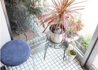 当院の入口には、植物が飾られています。