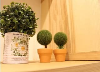 観葉植物も置き、より患者さまがリラックスできる環境を整えております。