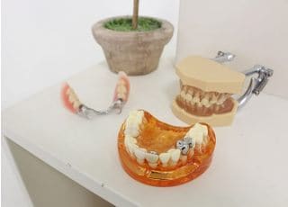 さまざまな模型や資料を使ってご説明します。