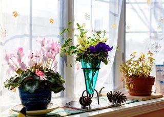 うえだ歯科・矯正歯科クリニック