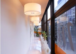 待合室から診療室に向かう廊下です。大きな窓からは、外の景色を一望できます。