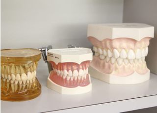 模型を利用して、できるかぎりわかりやすくご説明いたします。