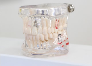 かすみ総合歯科_インタビュー6