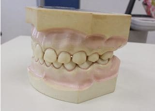 泉谷歯科医院_インタビュー3