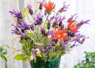 うえだ歯科・矯正歯科クリニック_インタビュー4