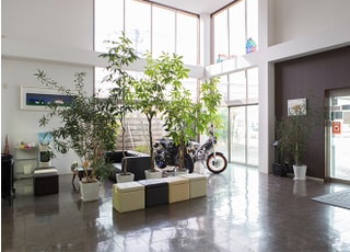 かわの歯科_インタビュー7