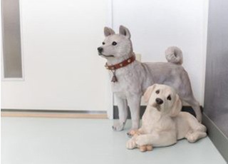みやさか歯科クリニック_インタビュー4