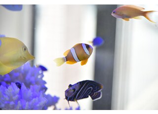 おのだ歯科医院_インタビュー8