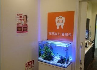 水槽があり、癒される空間になっています。
