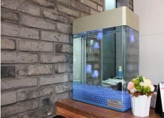 受付にクラゲの水槽を飾っております。