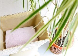 観葉植物が落ち着きを与えてくれます。