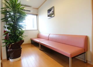 観葉植物があり、光が差し込む待合室になっております。