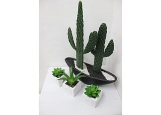 院内には植物を置き、患者様がリラックスできるよう配慮しています。