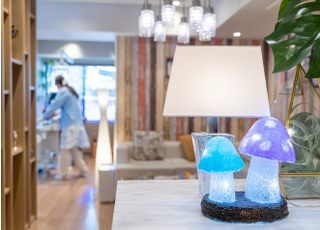 サンテラス歯科