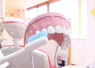 ブラッシング指導なども行っております。