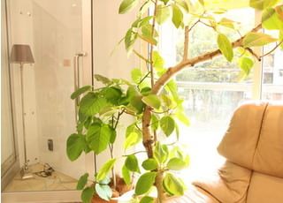 リラックスできるような空間を心がけています。