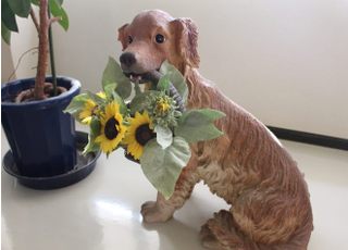 インテリアのひとつです。