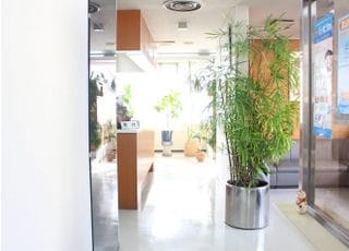 院内の風景です。