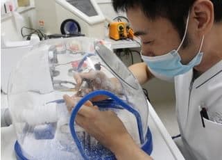 院内の技工所では患者様のお口に合わせた調整を行うことが出来ます。