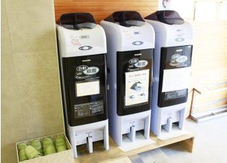 除菌スリッパをご利用いただけるようにしています。