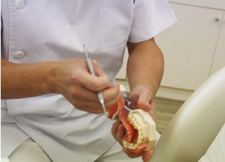 模型などを用いて分かりやすい説明をおこなっております。