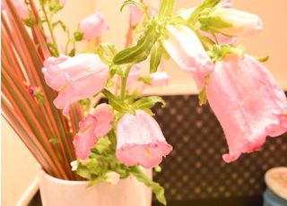 院内にはお花を飾るなど、リラックスいただける院内環境を心がけております。