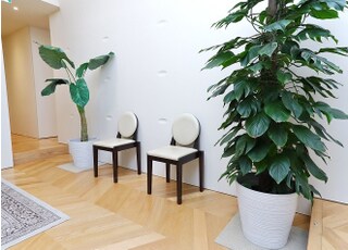 デンタルサロン麹町