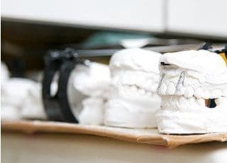 歯の模型です。