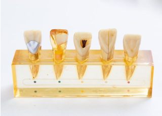 リサ歯科医院（東新宿駅）