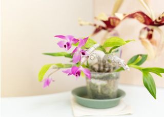 リサ歯科医院（東新宿駅）