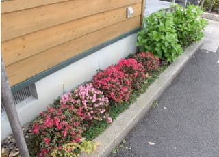 たくさんのお花に囲まれた空間でリラックス出来る空間づくりをしています