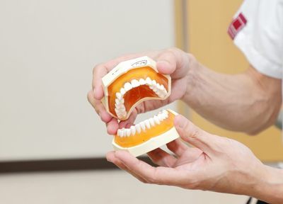 健康な歯を守り続けるために、定期検診で変化を見逃さない取り組みをしています