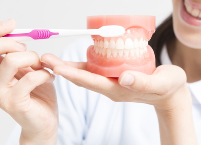 歯の健康を守るためには、虫歯の予防と早期発見が大切です