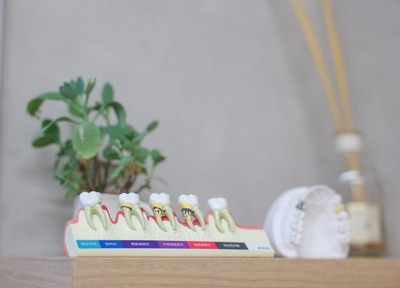 鈴木歯科医院 虫歯