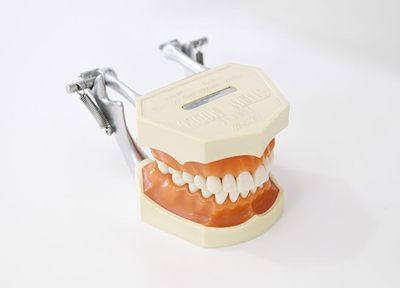 そう歯科クリニック 入れ歯・義歯