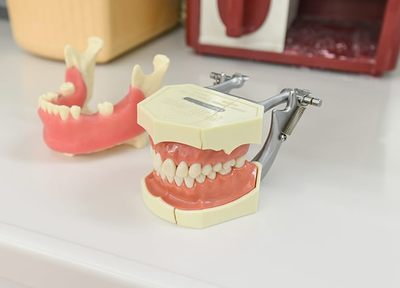 文京歯科医院 入れ歯・義歯