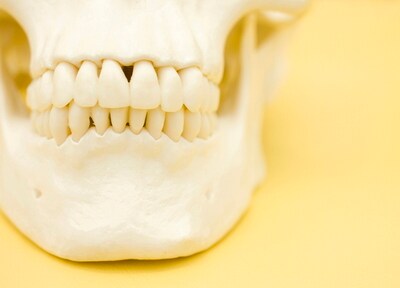 二宮歯科医院 顎関節症