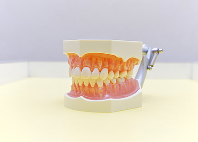 フジタ歯科 入れ歯・義歯