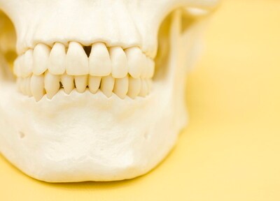 堀川歯科クリニック 噛み合わせ