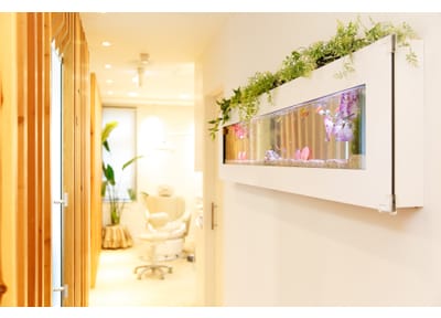 三軒茶屋矯正歯科クリニック 小児矯正